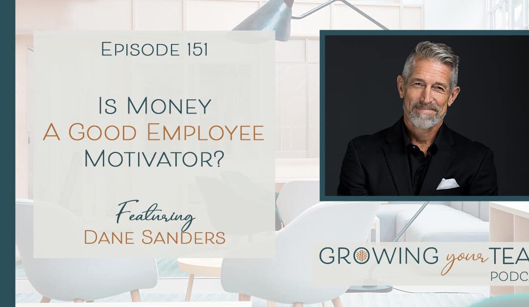 Ep151 – Is Money a Good Employee Motivator? with Dane Sanders