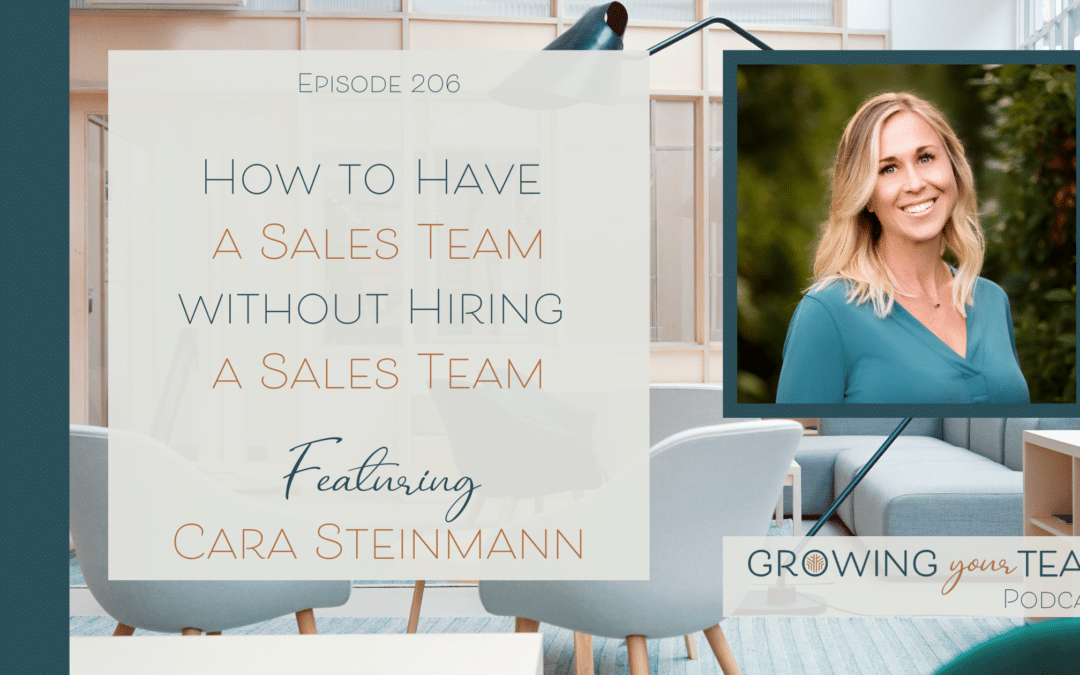 Ep206 – How to Have a Sales Team without Hiring a Sales Team with Cara Steinmann