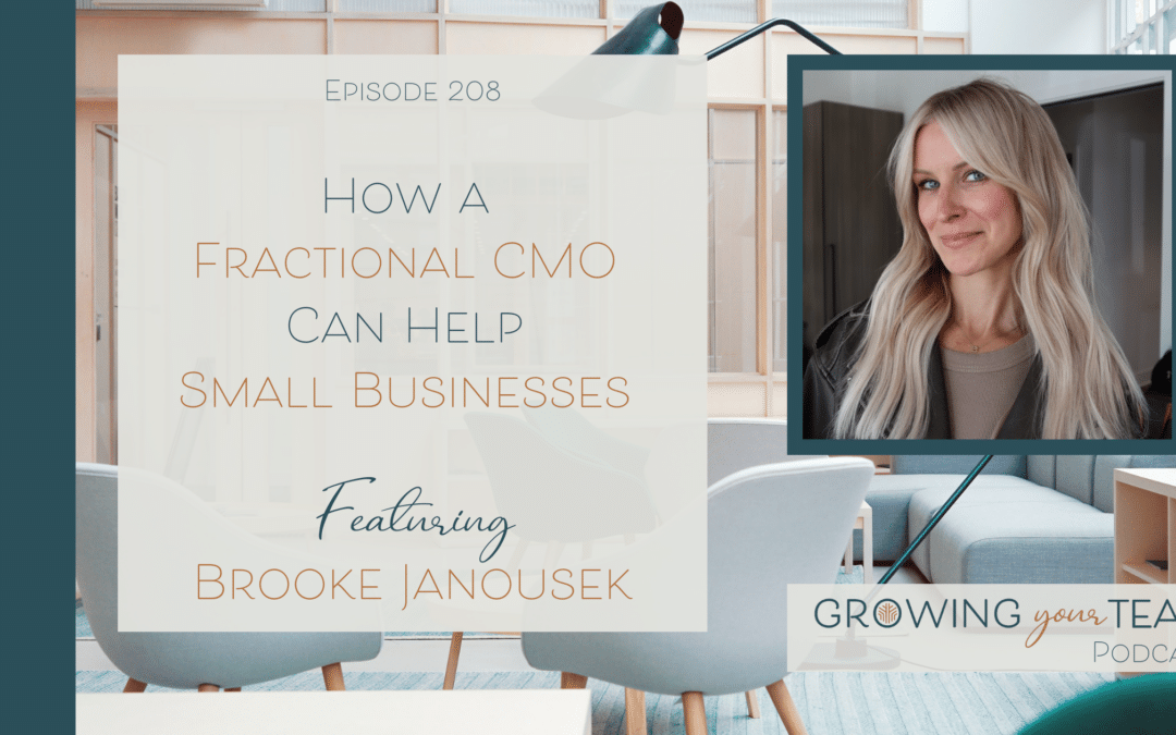 Ep208 – How Can a Fractional CMO Help Small Businesses with Brooke Janousek